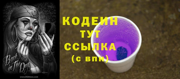 эйфоретик Дмитриев