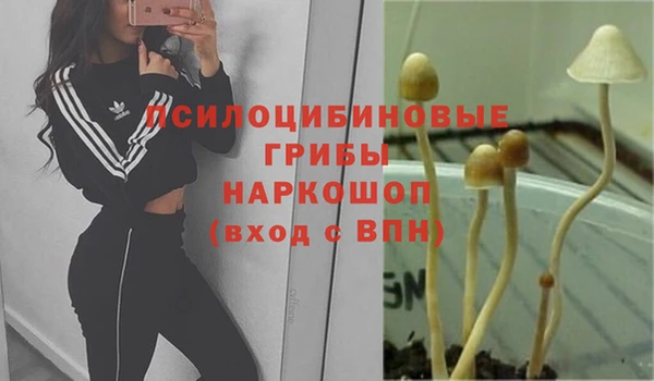 эйфоретик Дмитриев