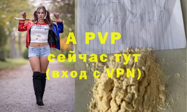 эйфоретик Дмитриев