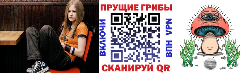 купить наркотики цена  Майкоп  Галлюциногенные грибы мухоморы 
