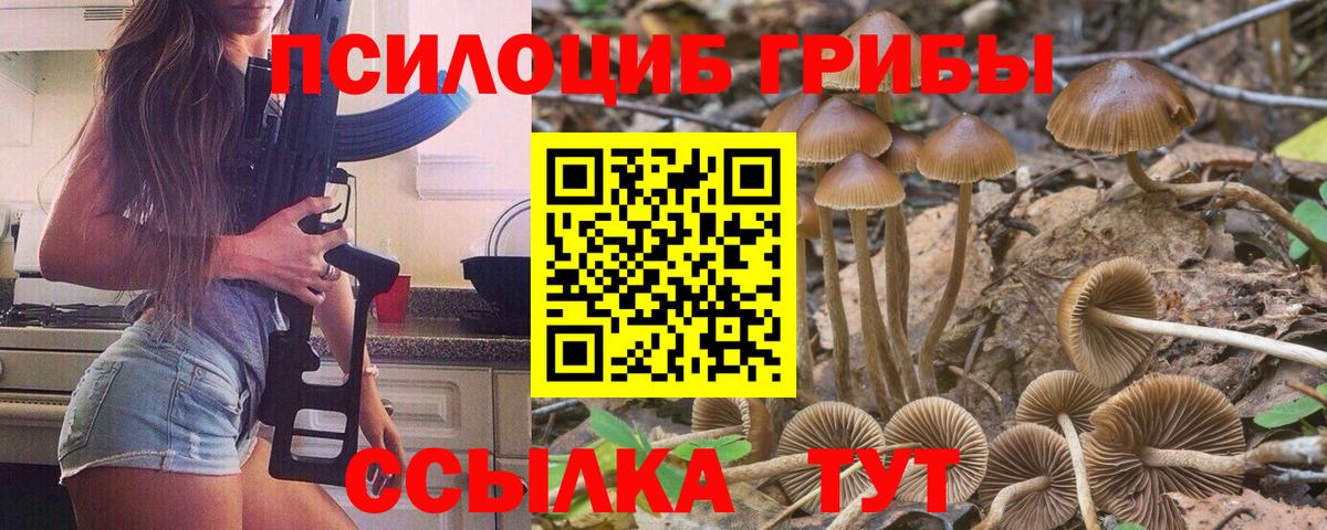 Псилоцибиновые грибы Cubensis Майкоп
