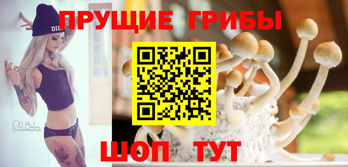 Псилоцибиновые грибы MAGIC MUSHROOMS  Вход с VPN  Майкоп 
